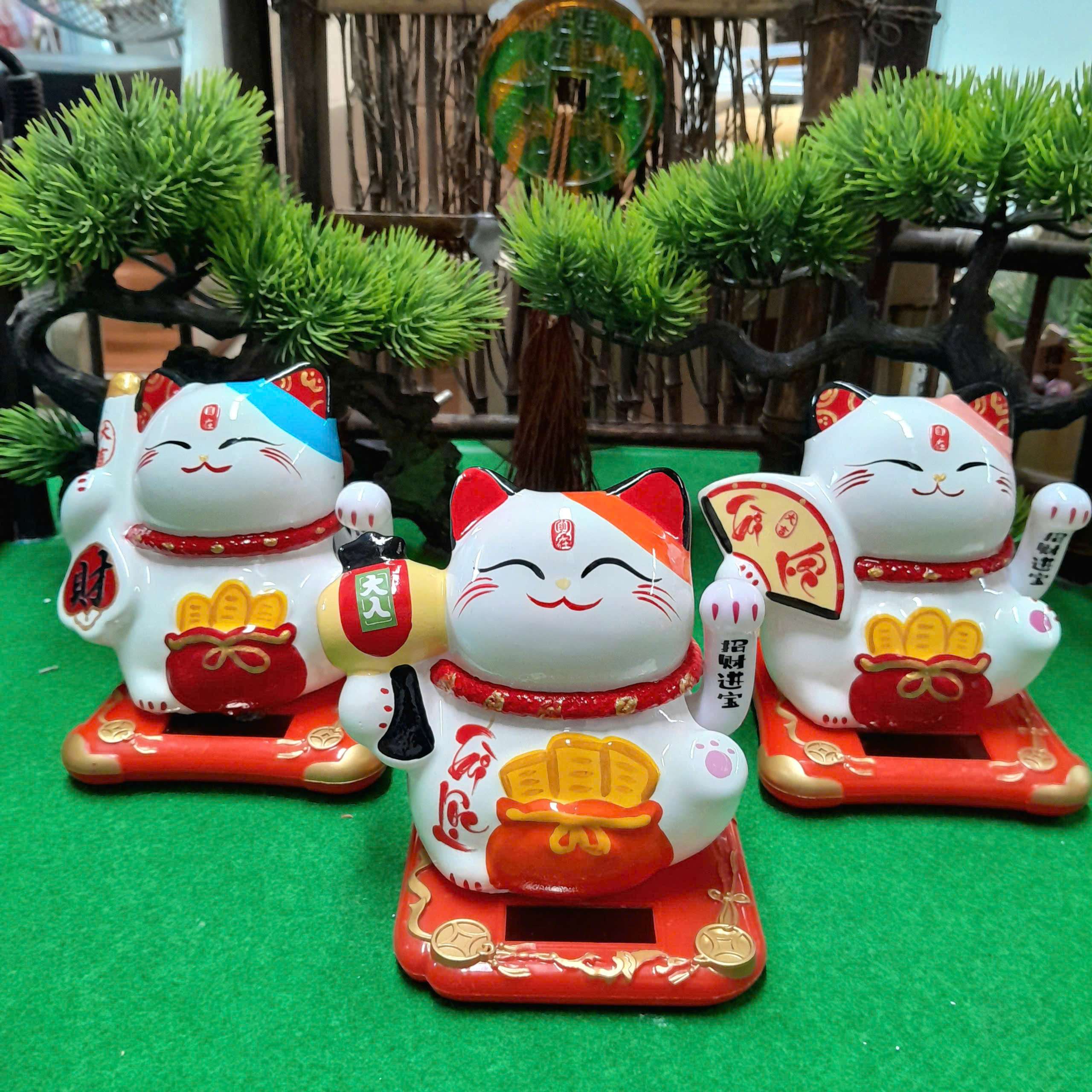 Sửa mèo thần tài