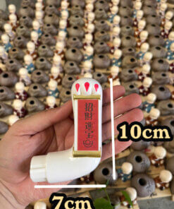 kich-thuoc-tay-meo-thay-the